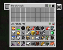 Backpacks for better storage