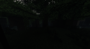 Dark forest