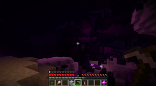 1111.png
