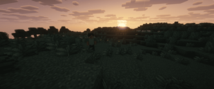 Your Journey Begins
