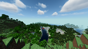 View4