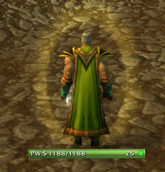 pws2.PNG