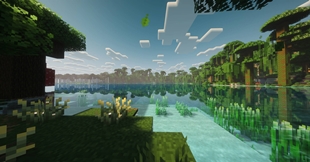 Quiet Bay