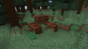 Berry Crates