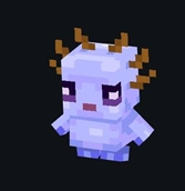 WhatsApp Image 2026-04-09 at 1.55.43 PM (2).jpeg