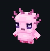 WhatsApp Image 2026-04-09 at 1.55.43 PM (1).jpeg