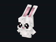 WhatsApp Image 2026-04-09 at 1.55.43 PM.jpeg