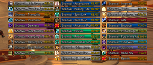 Raid cooldown bars