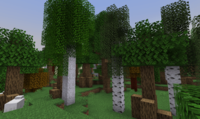 forest.png