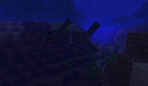 shark.png