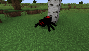spider.png