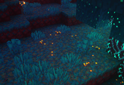 The Warped Forest