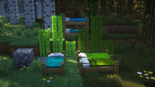 Forest Camping