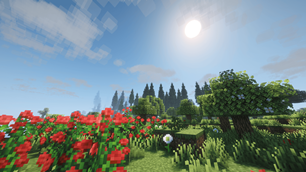 World Generation - Mainland Terralith + Biomes O' Plenty