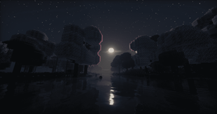 another night view in beautiful biome