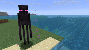 Enderman