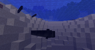 Eel.png