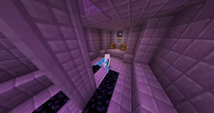 Image 3.png