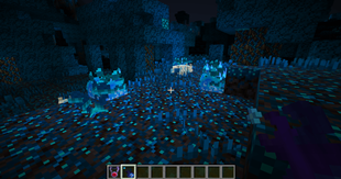 Spirit_Forest.png