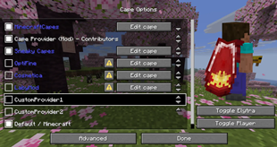 Config: Custom provider