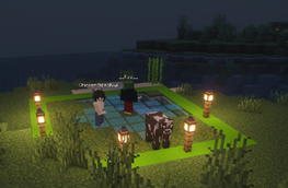 Multiplayer