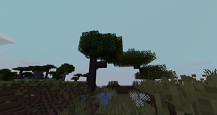 2026-02-17_06.04.58.png