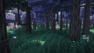 2026-04-12_20.12.40_1_optimized_2000.png
