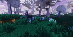 2026-04-12_23.01.30.png