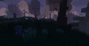 2026-04-12_23.02.07.png