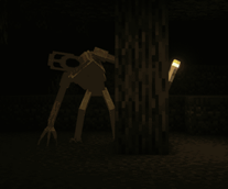 the one who watches