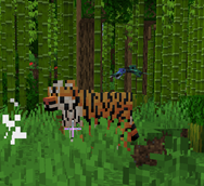Tigers and Birds