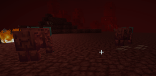 Nether Bears