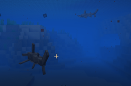 Sharks
