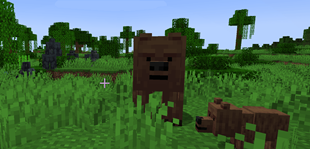 Bears and Gorillas