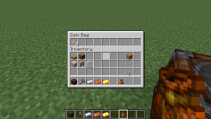 Coin Bag Inventory