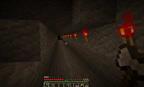 "4x4 tunnels"