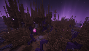 Chorus Forest 2