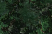 Terrain_006.jpg