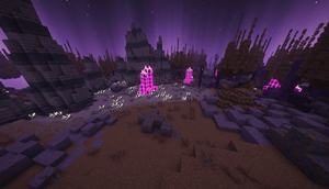Chorus Forest 1