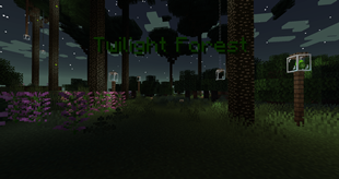 Modded Biome