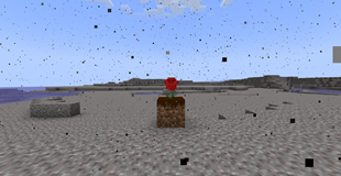 A rose.png