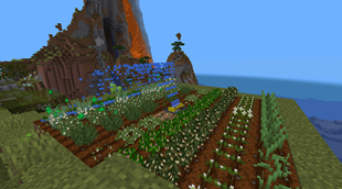 Farm