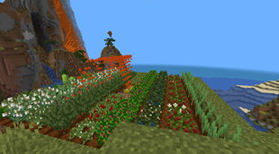 Lava