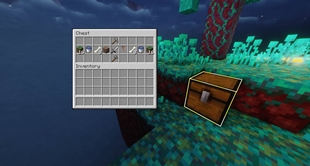 Chest Inside.jpg