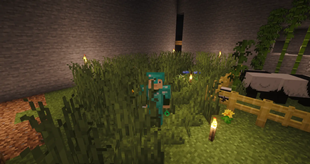 Growth Potion!