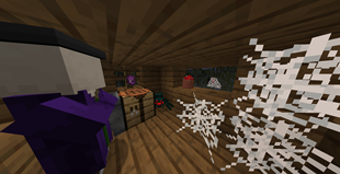 Witch's Satchel and Spider Meal