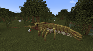 crayfish_screenshot_02.png