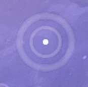 {7DF02A70-D942-486B-B269-7D1D58C65CC1}.png