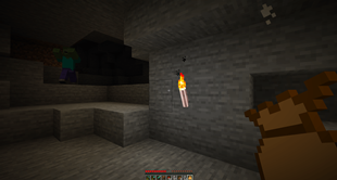 torch_bag.png