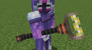 zap staff